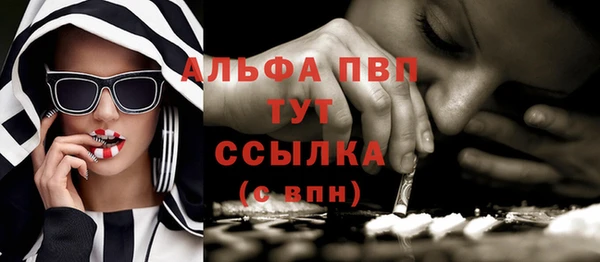 гашик Алексин