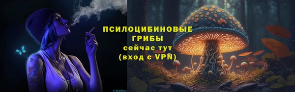 гашик Алексин
