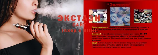 гашик Алексин