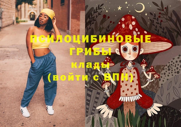 гашик Алексин